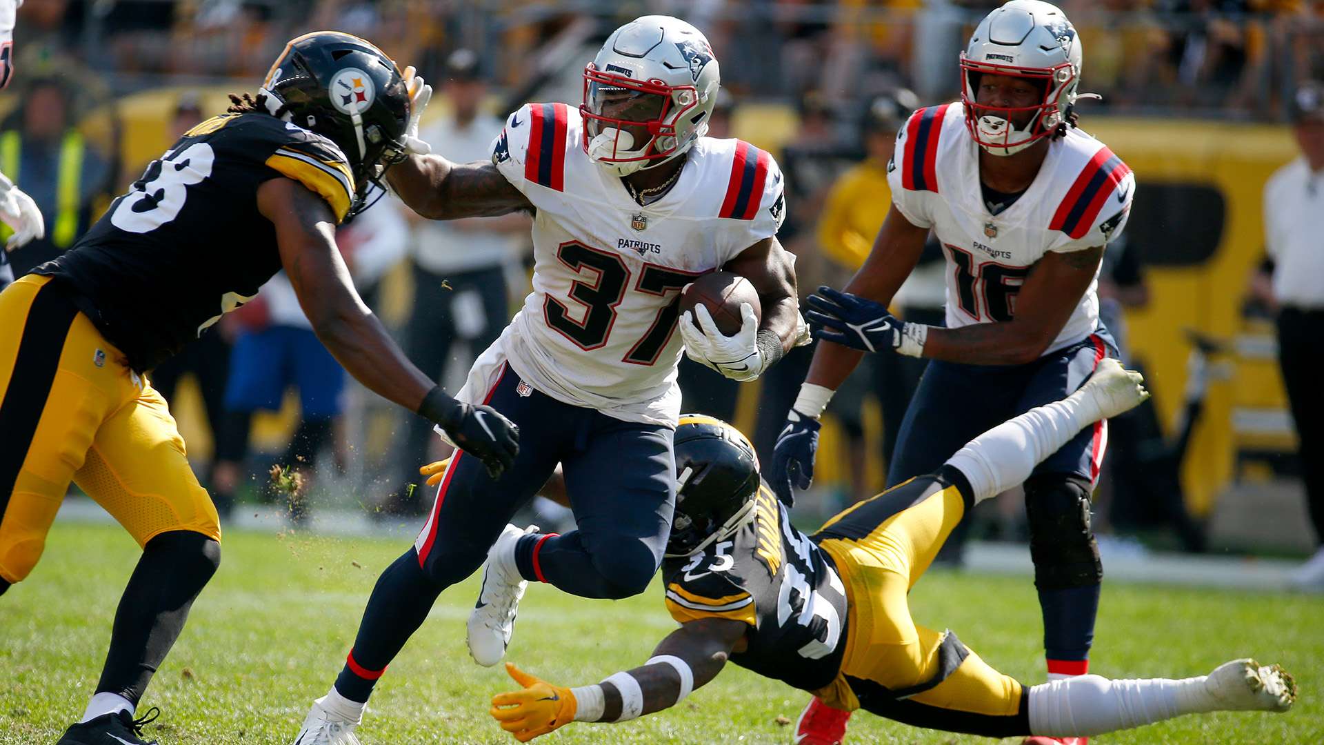 稳稳地将金 稳稳地将金